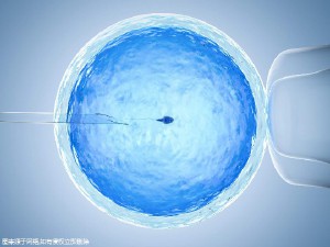 实验室环境